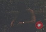 Image of 9th Infantry Division Cambodia, 1970, second 40 stock footage video 65675064756