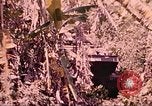Image of 9th Infantry Division Cambodia, 1970, second 15 stock footage video 65675064758