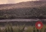 Image of 9th Infantry Division Cambodia, 1970, second 33 stock footage video 65675064758