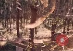 Image of 9th Infantry Division Cambodia, 1970, second 51 stock footage video 65675064758