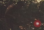 Image of 9th Infantry Division Cambodia, 1970, second 11 stock footage video 65675064760