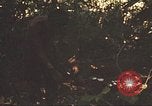 Image of 9th Infantry Division Cambodia, 1970, second 13 stock footage video 65675064760