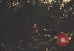 Image of 9th Infantry Division Cambodia, 1970, second 14 stock footage video 65675064760