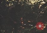 Image of 9th Infantry Division Cambodia, 1970, second 15 stock footage video 65675064760