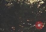 Image of 9th Infantry Division Cambodia, 1970, second 16 stock footage video 65675064760
