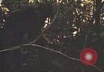 Image of 9th Infantry Division Cambodia, 1970, second 27 stock footage video 65675064760