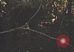 Image of 9th Infantry Division Cambodia, 1970, second 28 stock footage video 65675064760