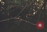 Image of 9th Infantry Division Cambodia, 1970, second 29 stock footage video 65675064760