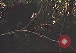 Image of 9th Infantry Division Cambodia, 1970, second 30 stock footage video 65675064760