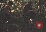 Image of 9th Infantry Division Cambodia, 1970, second 40 stock footage video 65675064760