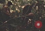 Image of 9th Infantry Division Cambodia, 1970, second 44 stock footage video 65675064760