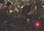 Image of 9th Infantry Division Cambodia, 1970, second 45 stock footage video 65675064760