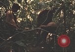 Image of 9th Infantry Division Cambodia, 1970, second 46 stock footage video 65675064760