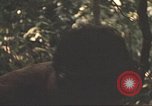 Image of 9th Infantry Division Cambodia, 1970, second 50 stock footage video 65675064760