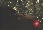 Image of 9th Infantry Division Cambodia, 1970, second 53 stock footage video 65675064760