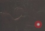 Image of 9th Infantry Division Cambodia, 1970, second 36 stock footage video 65675064761