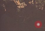 Image of 9th Infantry Division Cambodia, 1970, second 34 stock footage video 65675064762