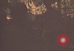 Image of 9th Infantry Division Cambodia, 1970, second 38 stock footage video 65675064762