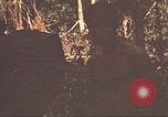 Image of 9th Infantry Division Cambodia, 1970, second 40 stock footage video 65675064762