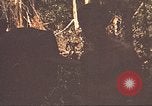 Image of 9th Infantry Division Cambodia, 1970, second 41 stock footage video 65675064762