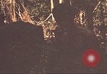 Image of 9th Infantry Division Cambodia, 1970, second 43 stock footage video 65675064762