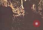 Image of 9th Infantry Division Cambodia, 1970, second 45 stock footage video 65675064762