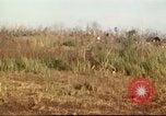 Immagine di I bombardamenti in foresta Il Vietnam Tay Ninh, 1970, secondo 16 filmato di repertorio 65675064764