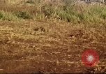 Immagine di I bombardamenti in foresta Il Vietnam Tay Ninh, 1970, secondo 20 filmato di repertorio 65675064764