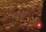 Immagine di I bombardamenti in foresta Il Vietnam Tay Ninh, 1970, secondo 22 filmato di repertorio 65675064764