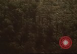 Immagine di I bombardamenti in foresta Il Vietnam Tay Ninh, 1970, secondo 25 filmato di repertorio 65675064764