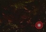 Immagine di I bombardamenti in foresta Il Vietnam Tay Ninh, 1970, secondo 27 filmato di repertorio 65675064764