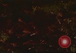 Immagine di I bombardamenti in foresta Il Vietnam Tay Ninh, 1970, secondo 28 filmato di repertorio 65675064764