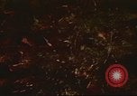 Immagine di I bombardamenti in foresta Il Vietnam Tay Ninh, 1970, secondo 29 filmato di repertorio 65675064764