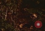 Immagine di I bombardamenti in foresta Il Vietnam Tay Ninh, 1970, secondo 31 filmato di repertorio 65675064764