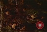 Immagine di I bombardamenti in foresta Il Vietnam Tay Ninh, 1970, secondo 32 filmato di repertorio 65675064764