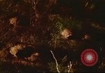 Immagine di I bombardamenti in foresta Il Vietnam Tay Ninh, 1970, secondo 33 filmato di repertorio 65675064764