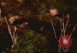 Immagine di I bombardamenti in foresta Il Vietnam Tay Ninh, 1970, secondo 34 filmato di repertorio 65675064764