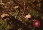 Immagine di I bombardamenti in foresta Il Vietnam Tay Ninh, 1970, secondo 36 filmato di repertorio 65675064764