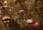 Immagine di I bombardamenti in foresta Il Vietnam Tay Ninh, 1970, secondo 37 filmato di repertorio 65675064764