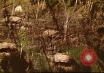 Immagine di I bombardamenti in foresta Il Vietnam Tay Ninh, 1970, secondo 38 filmato di repertorio 65675064764