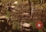 Immagine di I bombardamenti in foresta Il Vietnam Tay Ninh, 1970, secondo 39 filmato di repertorio 65675064764