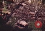 Immagine di I bombardamenti in foresta Il Vietnam Tay Ninh, 1970, secondo 41 filmato di repertorio 65675064764