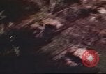 Immagine di I bombardamenti in foresta Il Vietnam Tay Ninh, 1970, secondo 42 filmato di repertorio 65675064764