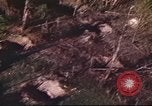 Immagine di I bombardamenti in foresta Il Vietnam Tay Ninh, 1970, secondo 43 filmato di repertorio 65675064764