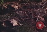 Immagine di I bombardamenti in foresta Il Vietnam Tay Ninh, 1970, secondo 45 filmato di repertorio 65675064764