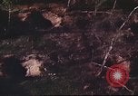 Immagine di I bombardamenti in foresta Il Vietnam Tay Ninh, 1970, secondo 46 filmato di repertorio 65675064764