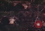 Immagine di I bombardamenti in foresta Il Vietnam Tay Ninh, 1970, secondo 47 filmato di repertorio 65675064764