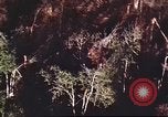 Immagine di I bombardamenti in foresta Il Vietnam Tay Ninh, 1970, secondo 54 filmato di repertorio 65675064764