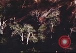Immagine di I bombardamenti in foresta Il Vietnam Tay Ninh, 1970, secondo 55 filmato di repertorio 65675064764