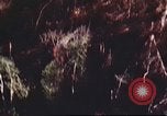 Immagine di I bombardamenti in foresta Il Vietnam Tay Ninh, 1970, secondo 56 filmato di repertorio 65675064764
